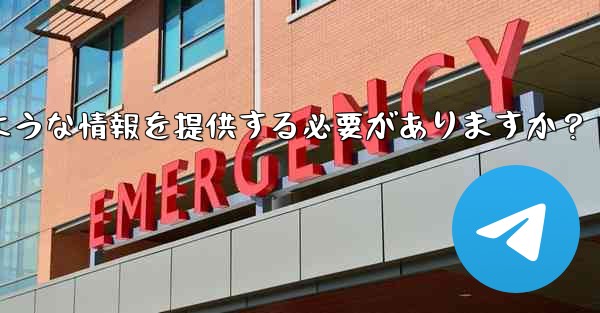 Telegram でサポート リクエストを送信する場合、どのような情報を提供する必要がありますか？