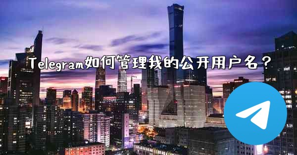 Telegram如何管理我的公开用户名？