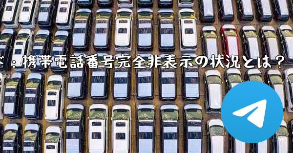 Telegram ガイド- どのような状況では、私の携帯電話番号が他の人に完全に表示されなくなりますか？;Telegra