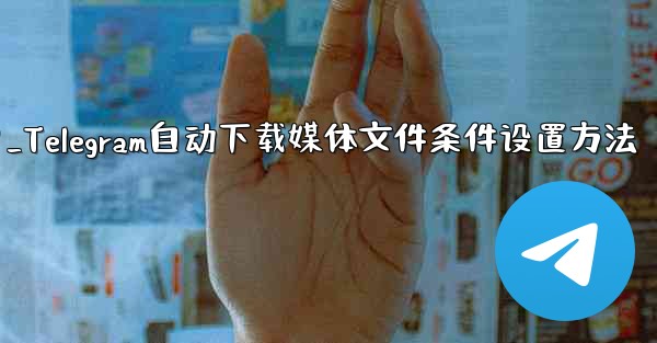 Telegram がメディア ファイル (写真、ビデオ、ドキュメント) を自動的にダウンロードするための条件 (モバイル