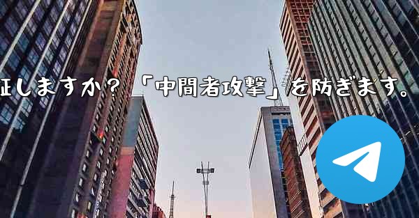 Telegram は秘密のチャット パーティーの暗号化キーをどのように検証しますか？ 「中間者攻撃」を防ぎます。