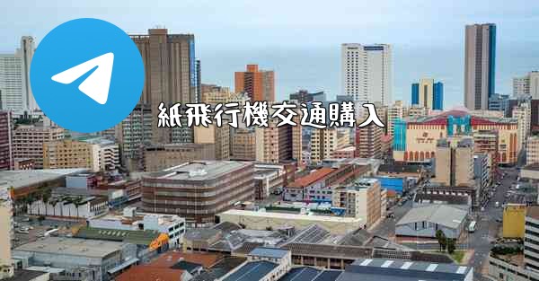 紙飛行機交通購入