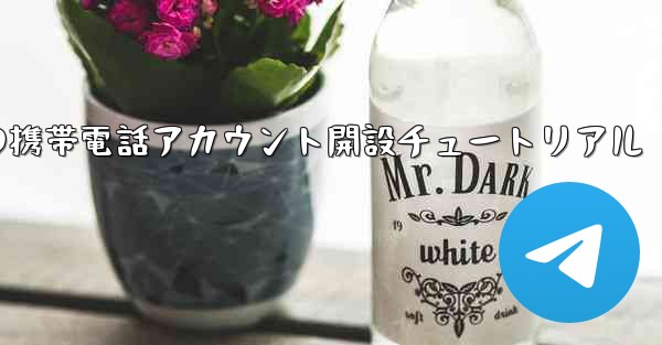 紙飛行機の携帯電話アカウント開設チュートリアル