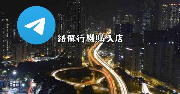 紙飛行機購入店