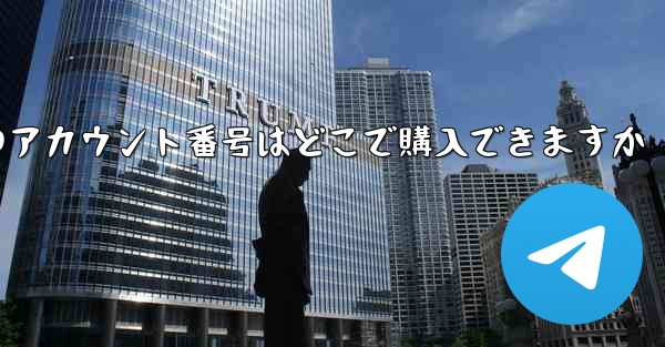 紙飛行機のアカウント番号はどこで購入できますか