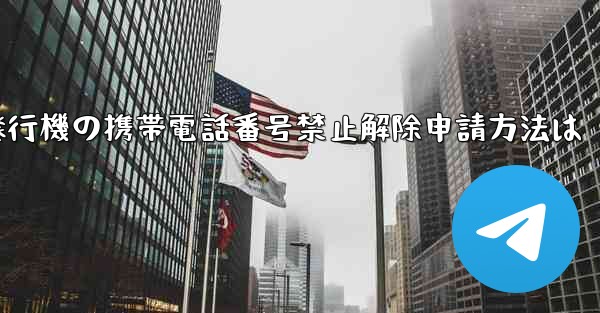 <b>紙飛行機の携帯電話番号禁止解除申請方法は</b>