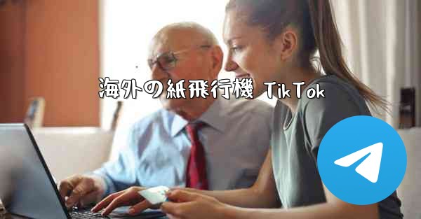 海外の紙飛行機 TikTok