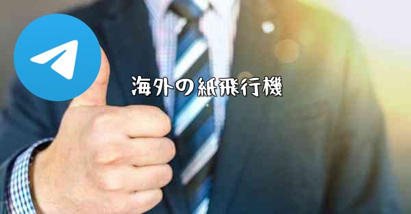 <b>海外の紙飛行機</b>