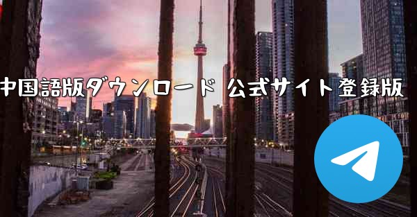 Paper Plane 中国語版ダウンロード 公式サイト登録版