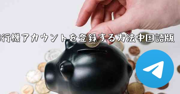 <b>Apple携帯電話に飛行機アカウントを登録する方法中国語版</b>