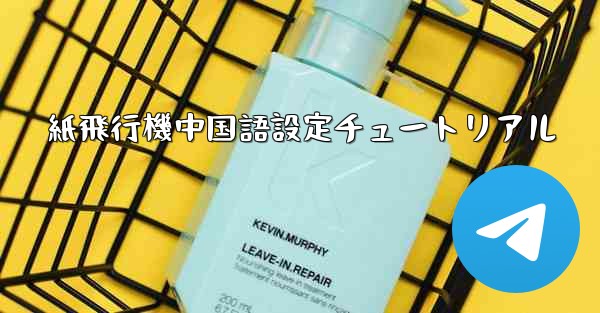 紙飛行機中国語設定チュートリアル