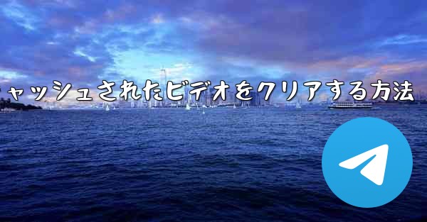 紙飛行機でキャッシュされたビデオをクリアする方法