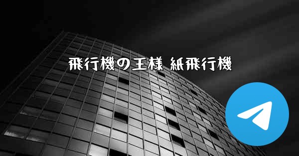 飛行機の王様 紙飛行機