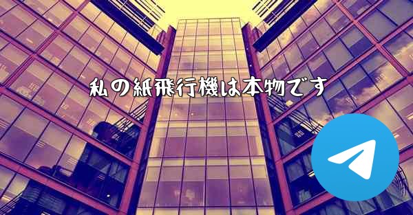 私の紙飛行機は本物です