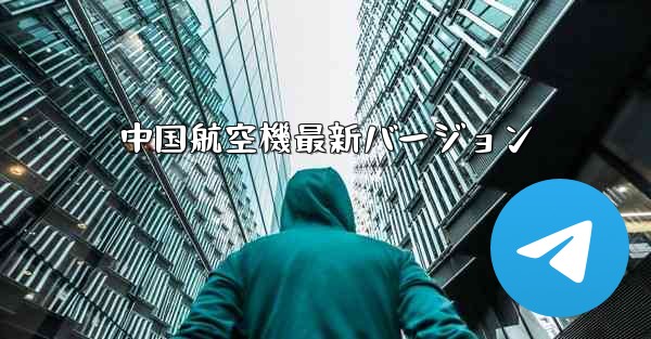 <b>中国航空機最新バージョン</b>