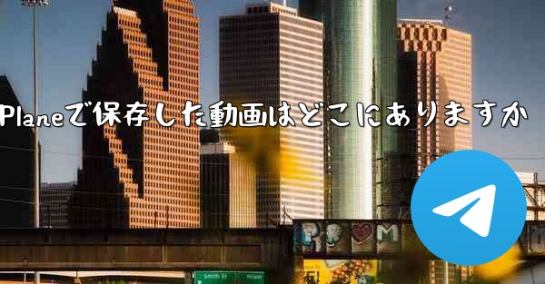 Paper Planeで保存した動画はどこにありますか