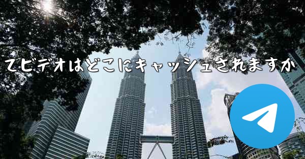 航空機によってビデオはどこにキャッシュされますか