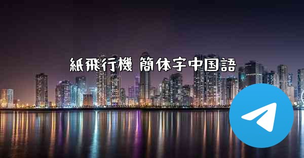 紙飛行機 簡体字中国語