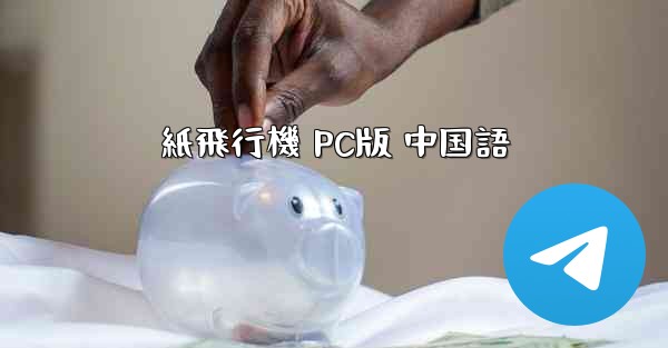 紙飛行機 PC版 中国語