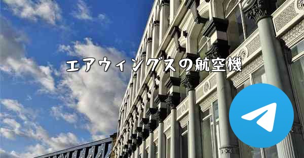 エアウィングスの航空機