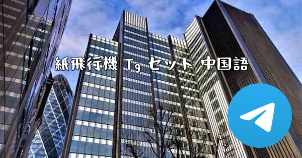 紙飛行機 Tg セット 中国語