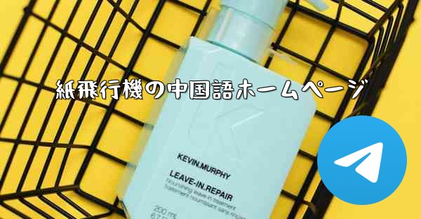 紙飛行機の中国語ホームページ