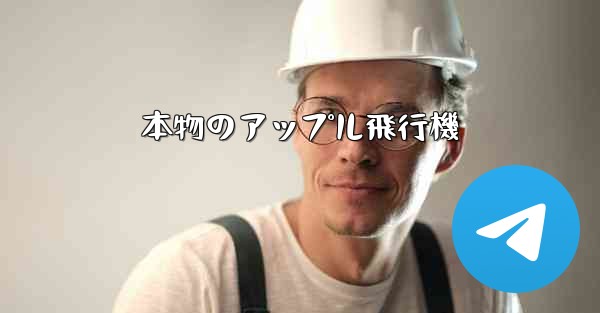 本物のアップル飛行機