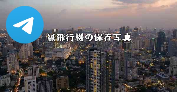 <b>紙飛行機の保存写真</b>