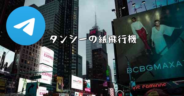 <b>タンシーの紙飛行機</b>