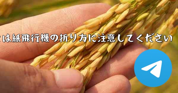 逆向きにするときは紙飛行機の折り方に注意してください
