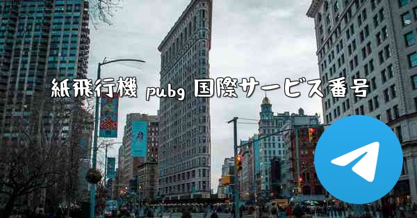 紙飛行機 pubg 国際サービス番号