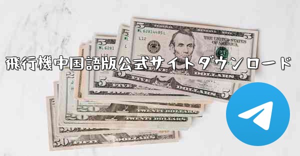 飛行機中国語版公式サイトダウンロード