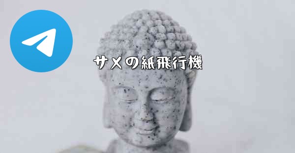 <b>サメの紙飛行機</b>