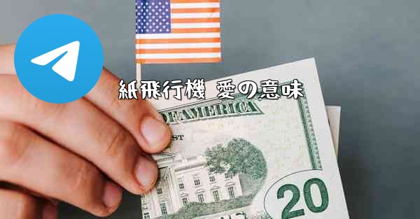 紙飛行機 愛の意味