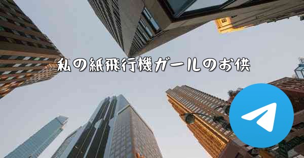 私の紙飛行機ガールのお供