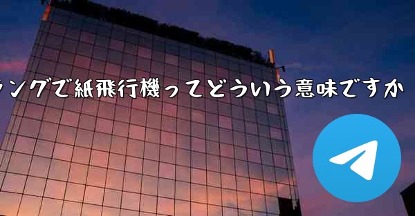 <b>ネットスラングで紙飛行機ってどういう意味ですか</b>