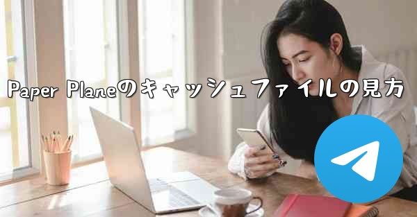 Paper Planeのキャッシュファイルの見方