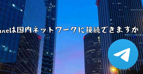 Paper Planeは国内ネットワークに接続できますか