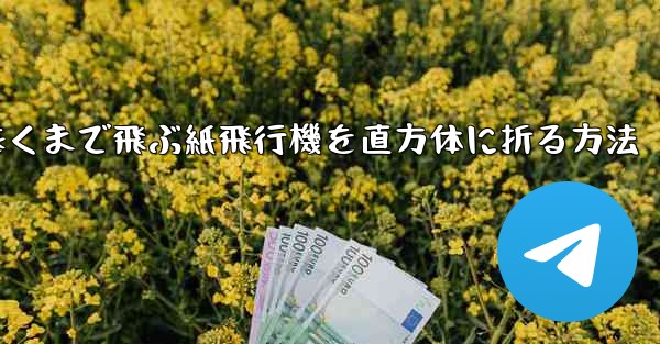 一番遠くまで飛ぶ紙飛行機を直方体に折る方法