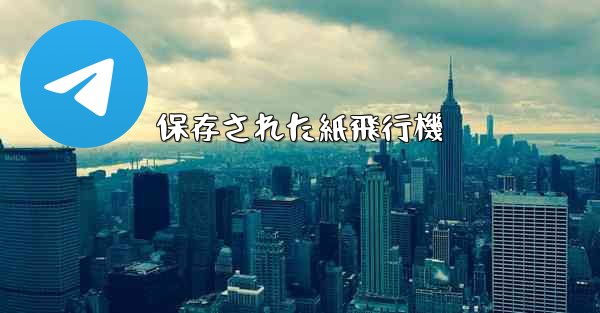 <b>保存された紙飛行機</b>