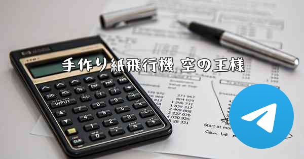 手作り紙飛行機 空の王様