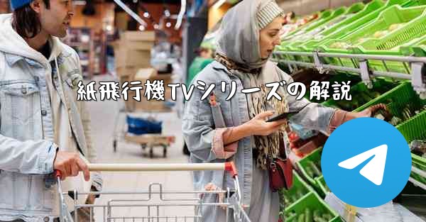 紙飛行機TVシリーズの解説