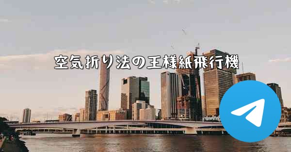 空気折り法の王様紙飛行機