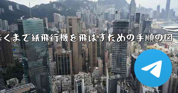 <b>最も遠くまで紙飛行機を飛ばすための手順の図</b>