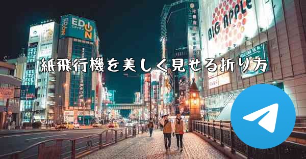 紙飛行機を美しく見せる折り方