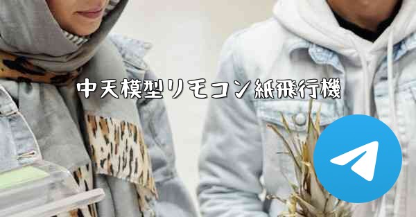 中天模型リモコン紙飛行機