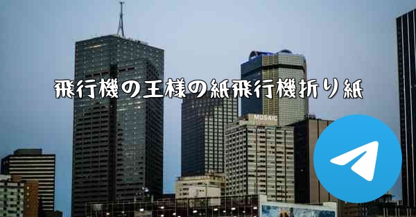 飛行機の王様の紙飛行機折り紙