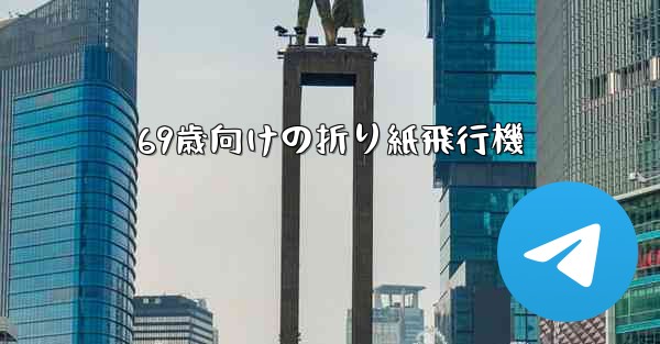 69歳向けの折り紙飛行機