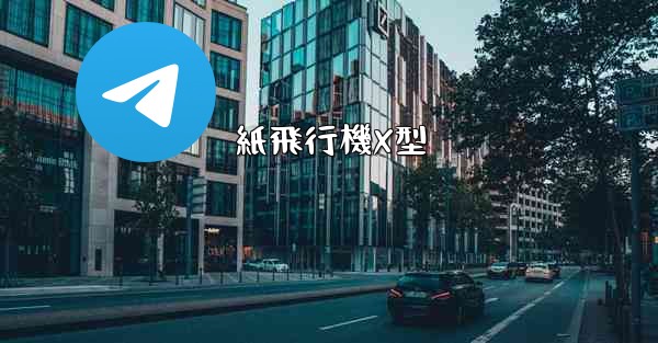 紙飛行機X型