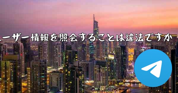 <b>Paper Plane がユーザー情報を照会することは違法ですか</b>